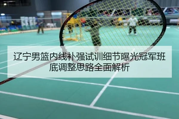辽宁男篮内线补强试训细节曝光冠军班底调整思路全面解析